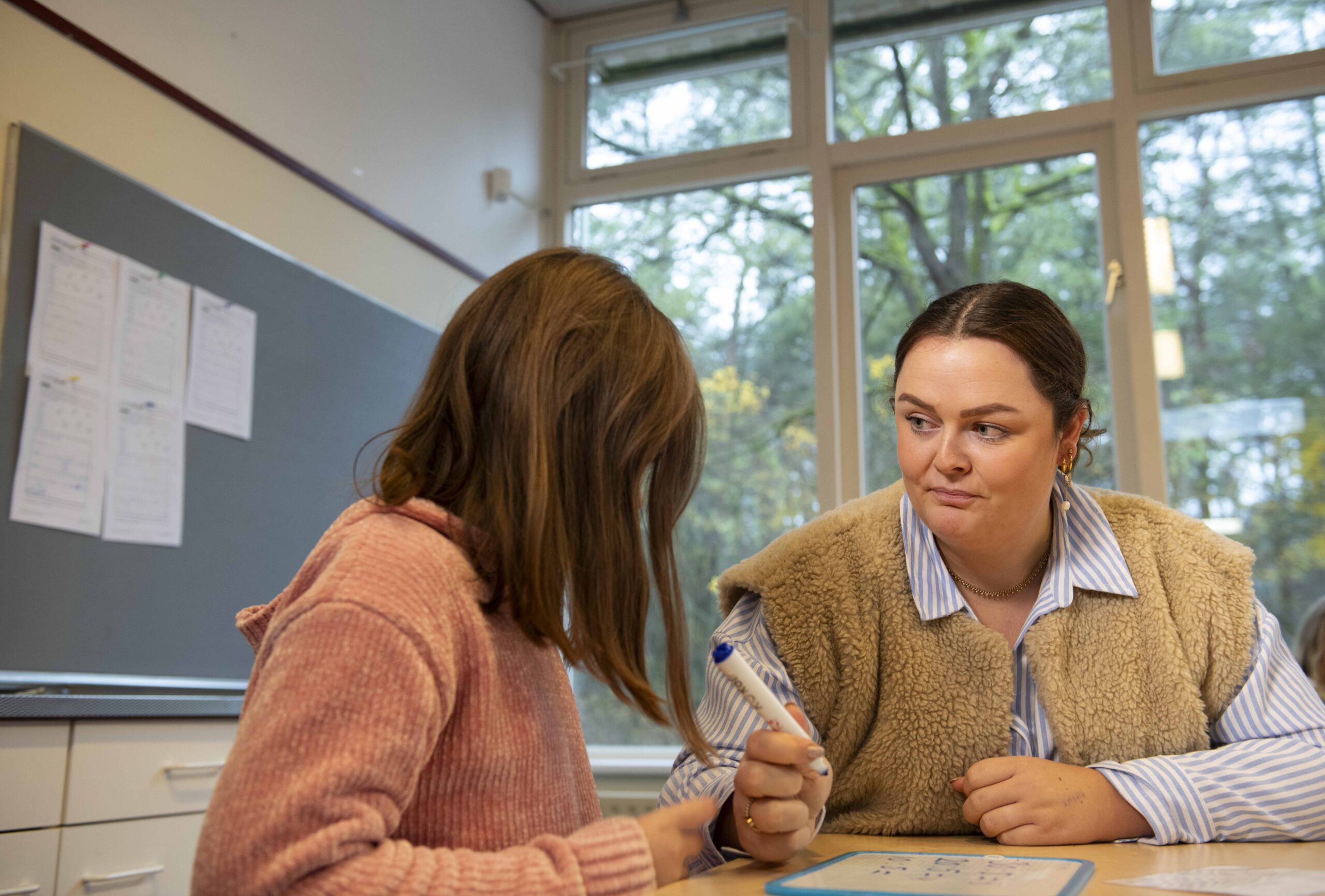 Verschoorschool Nunspeet, De Buizerds